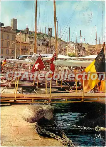 Cartes postales moderne Cannes (A Mmes) Le Port des Yachts et le Suquet