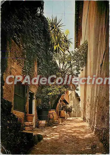 Cartes postales moderne Cagnes sur Mer (A Mmes) Rue Saint Roch