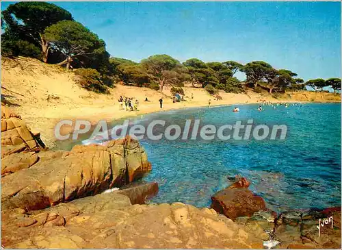 Cartes postales moderne Porto Vecchio sous les pins parasols de Palombaja les plus belles plages de Corse