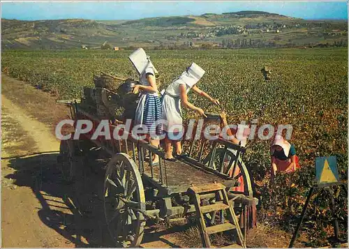 Cartes postales moderne Les Vendaces en Bourgogne