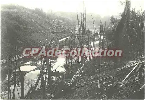 Cartes postales moderne La Ville en bois Houfffalize