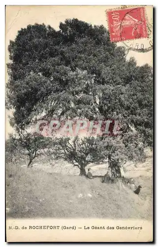 Ansichtskarte AK N D de Rochefort Gard Le Geant des Genevriers