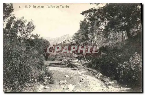 Cartes postales N D des Anges Vallon du Tourdre