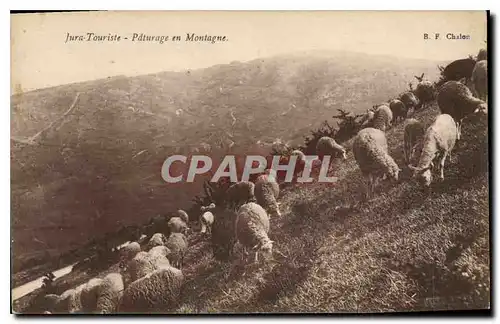 Cartes postales Jura Touriste Paturage en Montagne Moutons