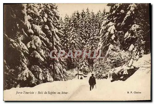 Ansichtskarte AK Jura Touriste Bois de Sapins en hiver