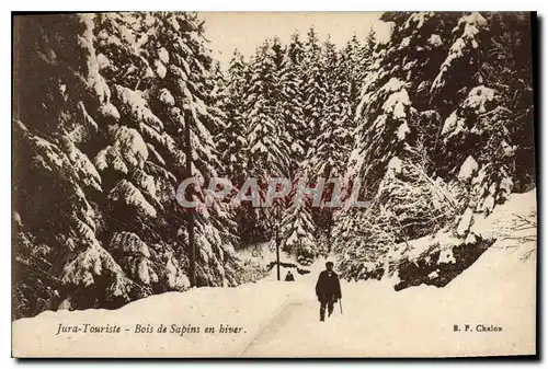 Cartes postales Jura Touriste Bois de Sapins en hiver