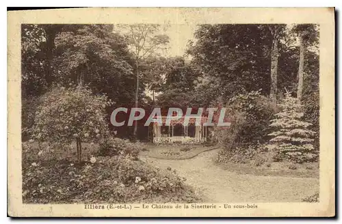 Ansichtskarte AK Illiers E et L le chateau de la Sinetterie un sous bois