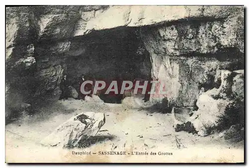 Ansichtskarte AK Dauphine Sassenage l'entree des Grottes