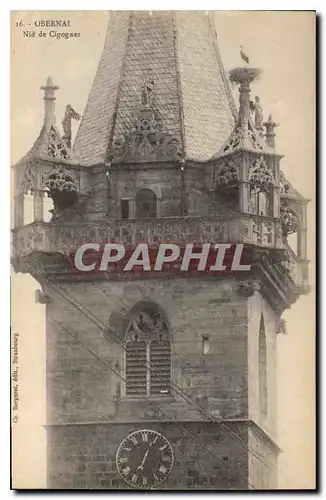 Cartes postales Obernai Nid de Cigognes