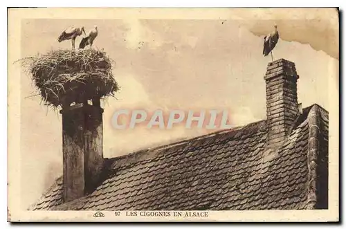 Cartes postales Les Cigognes en Alsace