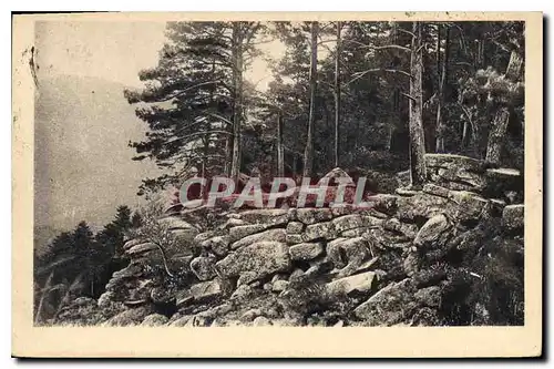 Cartes postales Mont Sainte Odile le Mur Paien