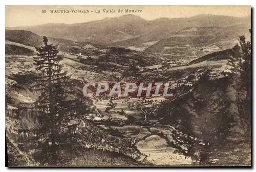 Cartes postales Hautes Vosges La Vallee de Munster