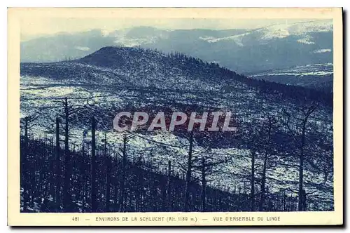 Cartes postales Environs de la Schlucht Vue d'Ensemble du Linge