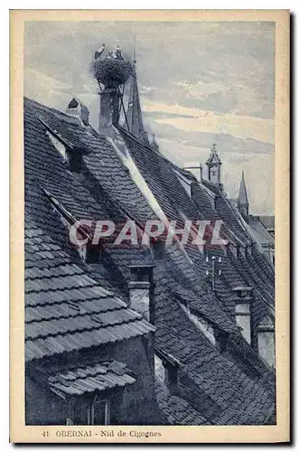 Cartes postales Obernai Nid de Cigognes