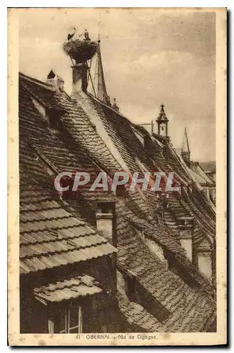 Cartes postales Obernai Nid de Cigogne