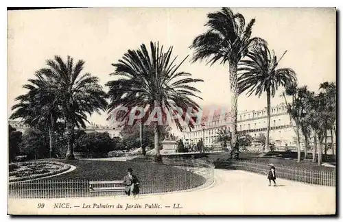 Ansichtskarte AK Nice Les Palmiers du Jardin Public