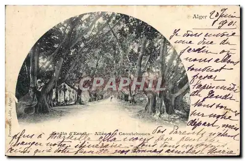 Cartes postales Alger Jardin d'Essaet Allee des Caoutchoucs