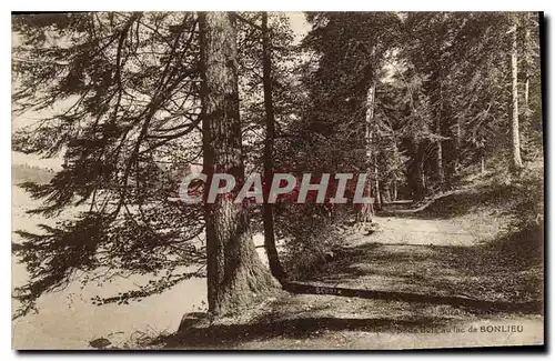 Cartes postales S Bois au lac de Bonlieu