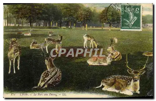 Cartes postales Lyon Le Parc aux Daims