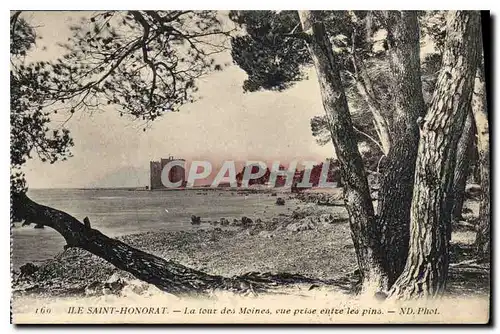 Cartes postales Ile Saint Honorat La tour des Moines vue prise enize les pins