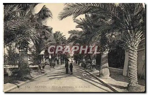 Cartes postales Menton Allee de palmiers