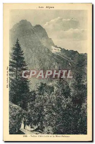 Ansichtskarte AK Les Alpes Vallon d'Ailefroide et le Mont Pelvoux