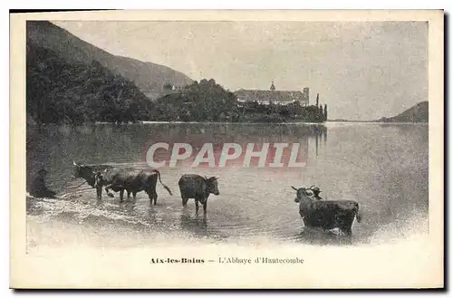 Cartes postales Aix les Bain l'Abbaye d'Hautecombe Vaches