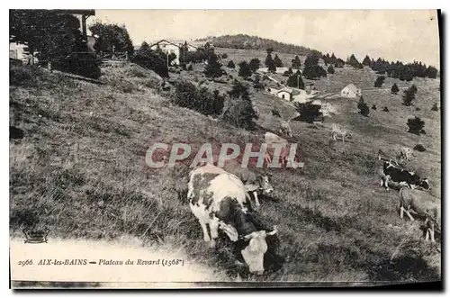 Cartes postales Aix les Bains Plateau du Revard  Vaches