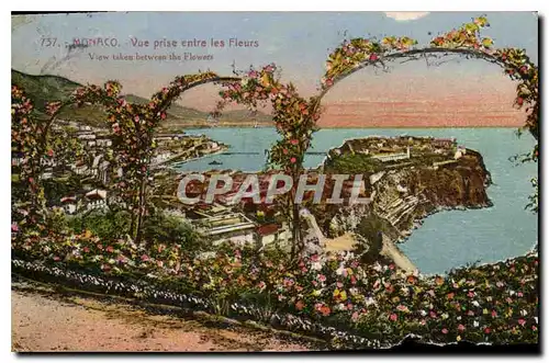 Cartes postales Monaco vue prise entre les Fleurs