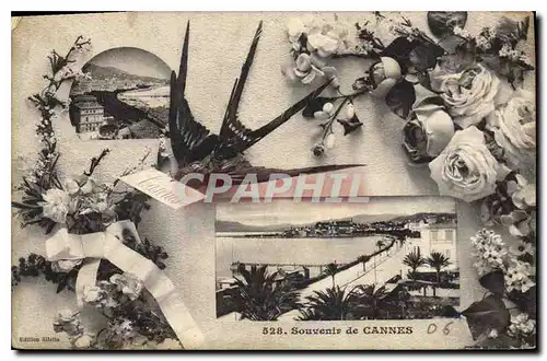 Cartes postales Souvenir de Cannes