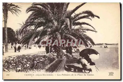 Cartes postales Cannes Alpes Maritimes Les Palmiers de la Place du Casino