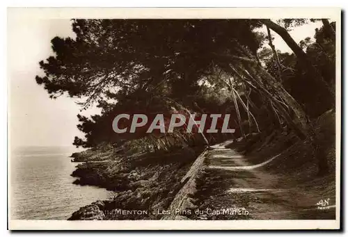 Cartes postales Menton Les Pins du Cap Martin