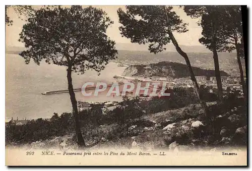 Cartes postales Nice Panomara pris entre les Pins du Mont Boron