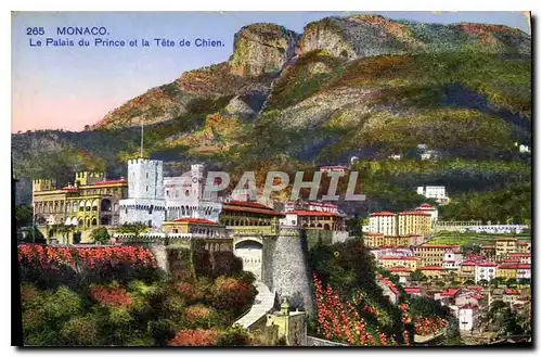 Cartes postales Monaco Le Palais du Prince et la Tete de Chien