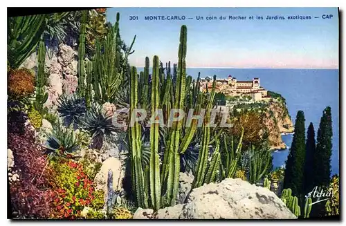 Cartes postales Monta Carlo un coin du Rocher et les Jardins exotiques