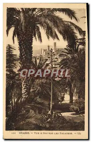Ansichtskarte AK Grasse vue a travers les Palmiers