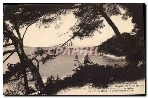 Cartes postales Route du Cap Brun Bord de mer Pittoresque