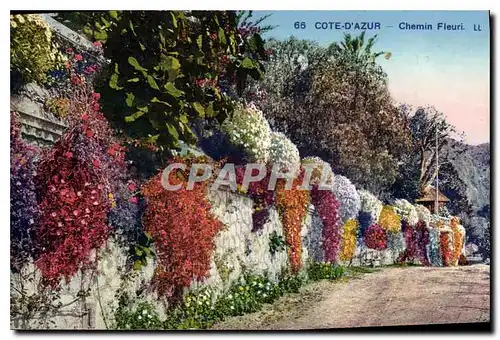 Ansichtskarte AK Cote d'Azur chemin Fleuri