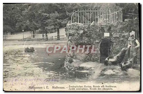 Cartes postales Mulhouse Jardin zoologique Bassin des phoquets Phoques Zoo