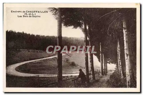 Ansichtskarte AK Environs de Chauffailles S et L Les Bois de Sapins