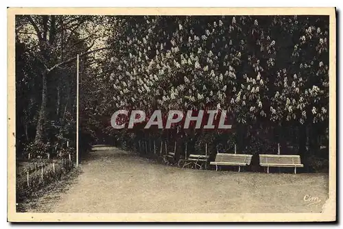 Cartes postales Sanatorium de Mardor S et L La Grande Allee