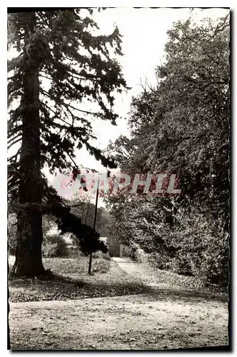 Cartes postales Venieres en Boyer Saone et Loire