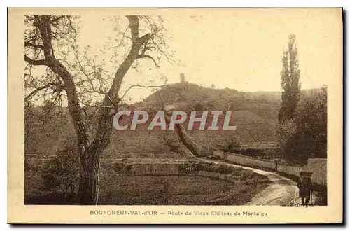 Cartes postales Bourgneuf Val d'Pr Route de Vieux Chateau de MOntalgu