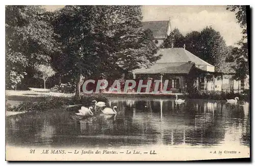 Cartes postales Le Mans Le Jardin des Plantes Le Lac