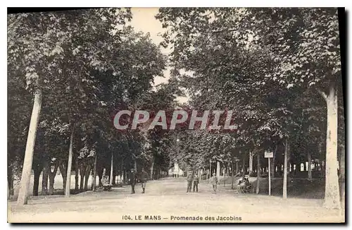 Cartes postales Le Mans Promenade des Jacobins