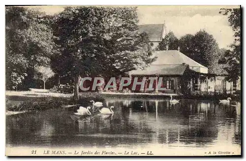 Ansichtskarte AK Le Mans Le Jardin des Plantes Le Lac