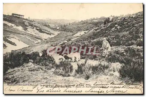 Ansichtskarte AK St Leonard des Bois Butte de Narbonne Berger Moutons