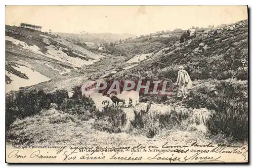 Cartes postales St Leonard des Bois Butte de Narbonne Berger Moutons