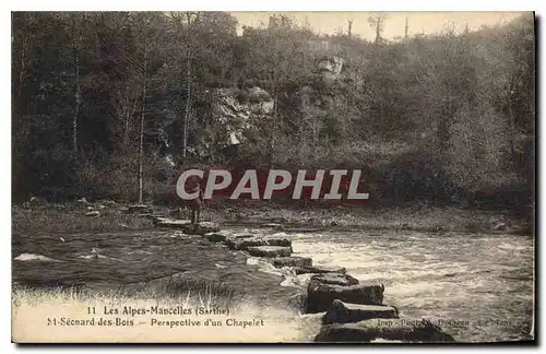 Cartes postales Les Alpes Mancelles Sarthe St Leonard des Bois Perspective d'un Chapelet