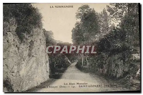 Ansichtskarte AK Les Alpes Mancelles Environs d'Alencon Saint Leonard des Bois